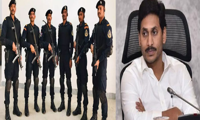 ys jagan Octopus guard