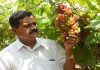 Telangana farmer awarded Padma Shri