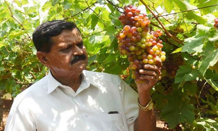 Telangana farmer awarded Padma Shri 1 Padma Shri telangana farmer