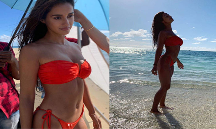 disha patani malang bikini