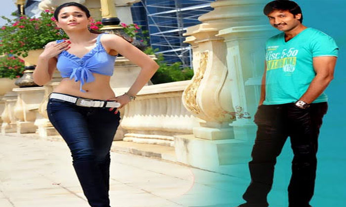 Stylish poster from Gopichand's next 1 gopichand seetar