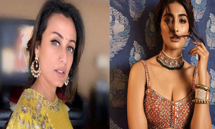 Mahesh wife Namrata miffed with Pooja? 1 namrata shirodkar pooja hegde