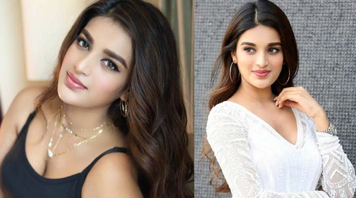 పవన్, క్రిష్ సినిమాలో నిధి అగర్వాల్ 1 6 12