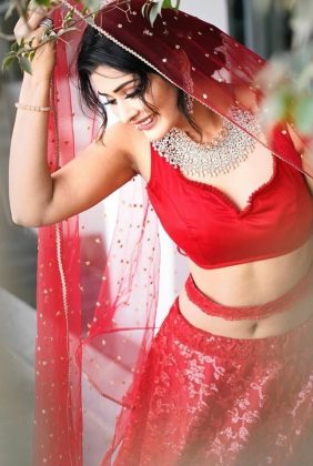 Payal Rajput Looks Stuning In Red 2