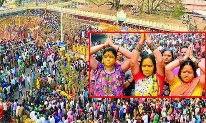 Sammakka. Saralamma 2020