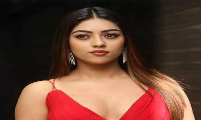 anu emmanuel bellamkonda sai srinivas