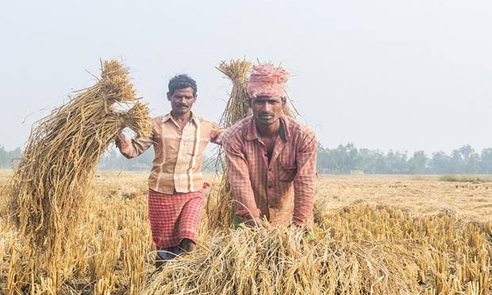 The 'pro-farmer' Budget that raises questions 1 budget farmer 2020