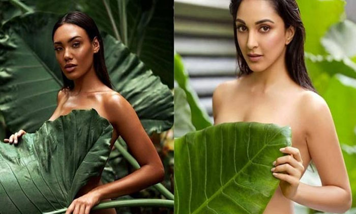 kiara daboo plagiarism