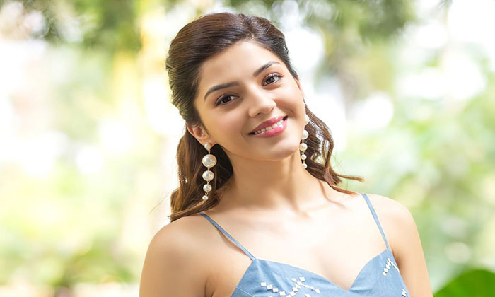 mehreen pirzada hotel bills