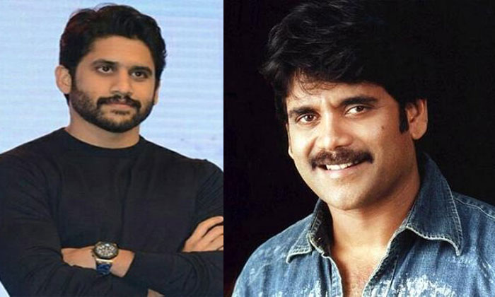 Naga Chaitanya crosses Nagarjuna's remuneration 1 nagarjuna naga chaitanya