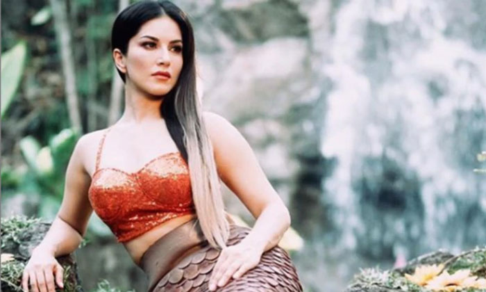 sunny leone valentines day