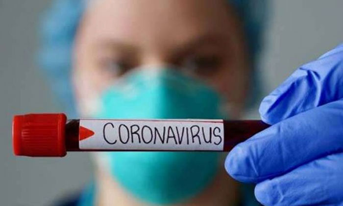 andhra pradesh coronavirus local transmission
