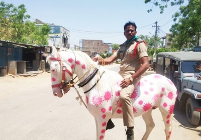 ap cop horses it out to create covid 19 awareness