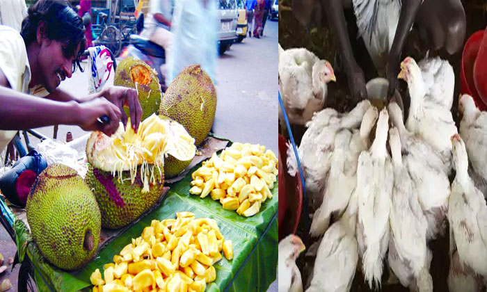 jackfruit coronavirus