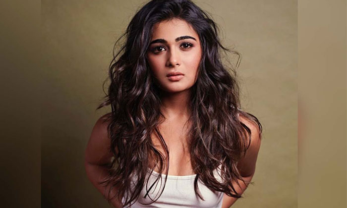shalini pandey tollywood