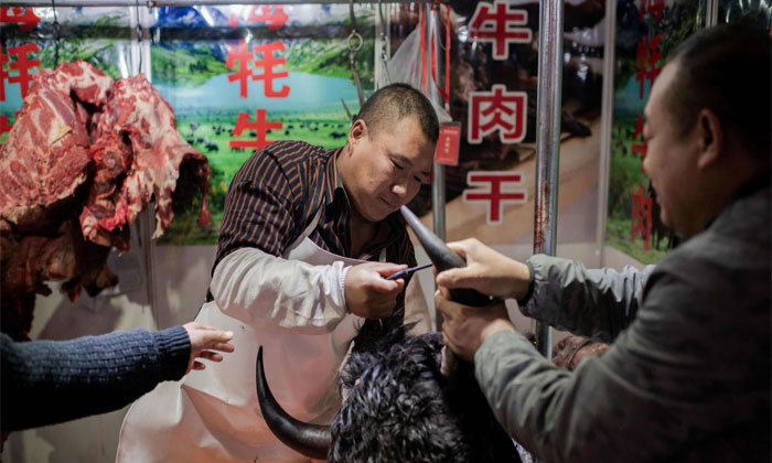 wildlife trade coronavirus