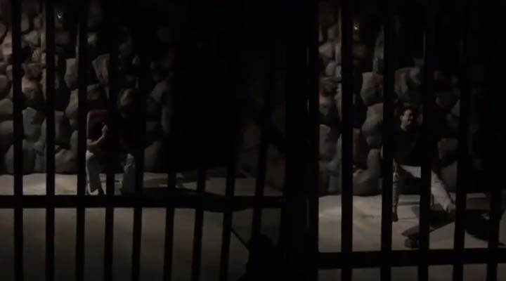 'హ్యాపీ బర్త్డే టూమీ..' లాక్డౌన్లో వర్మ వీడియో వైరల్ 1 11 5