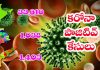 భారత్లో కొనసాగుతున్న కరోనా మహమ్మారి విజృంభణ