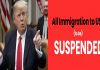 Trump to temporarily suspend immigration to US