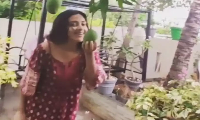 Amala Paul: Everything first is special 1 amala paul dance