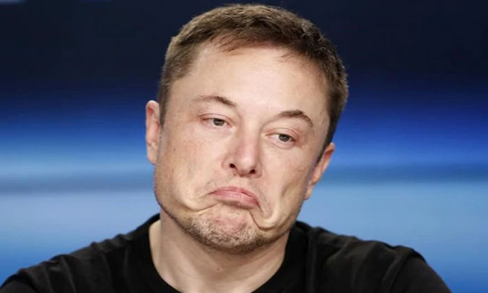 Elon Musk Tesla shares fall