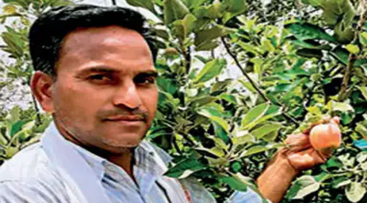 Telangana farmer apple