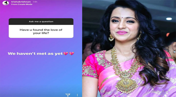 Trisha krishnan marriage