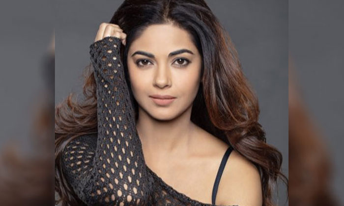 Priyanka Chopra cousin's father robbed at knifepoint 1 meena chopra dad knifepoint