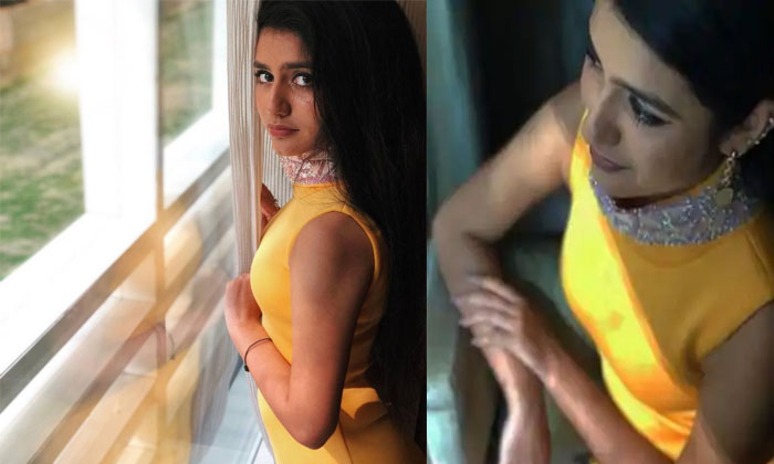 priya prakash varrier Telugu films