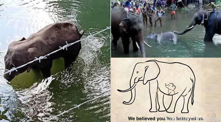 కేరళలో మానవత్వానికే మచ్చ తెచ్చిన ఘటన 1 8 2