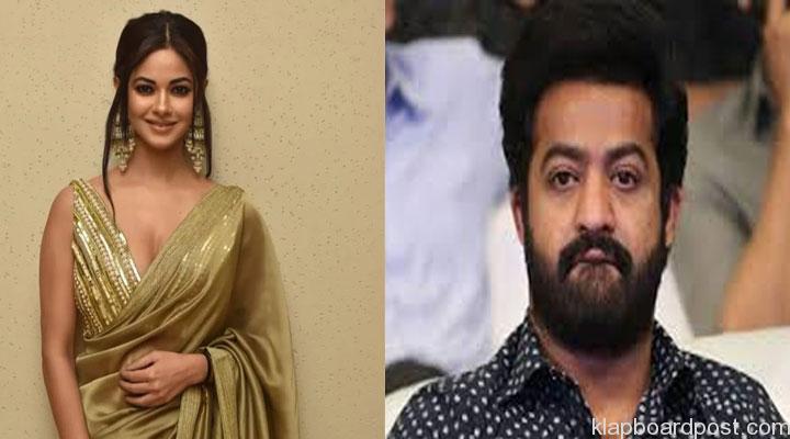 Jr nTR Meera Chopra
