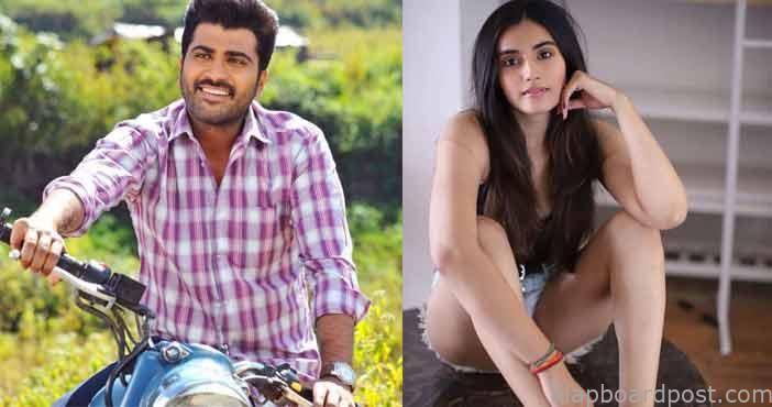 శర్వానంద్కు జంటగా ‘మజిలీ’ బ్యూటీ 1 Majili heroine divyanka k