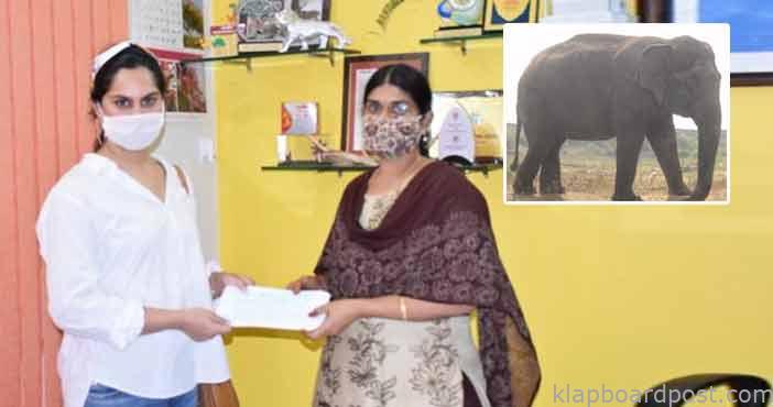 Upasana adopted elephan