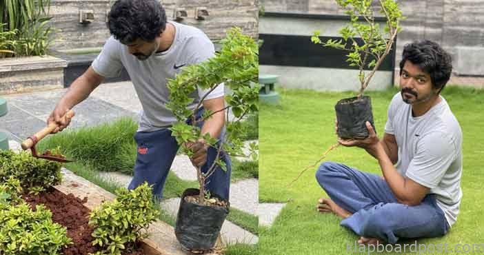 Hero Vijay comment on Green