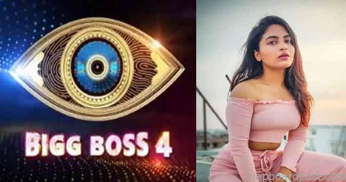 Bigg boss 4 telugu harika w