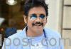 బాలీవుడ్ బ్యూటీతో నాగ్ రొమాన్స్! Bollywood beauty in Nagarjuna movie