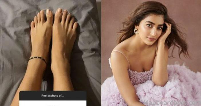 Pooja hegde shocking reply