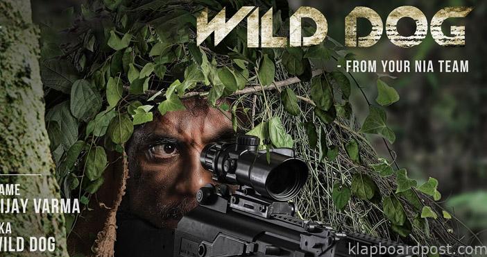 Wild Dog changes plans Aims big screen release