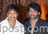 Prabhas as chief guest for Seetimaar’s pre-release event Prabhas as chief guest for Seetimaarr pre-release event