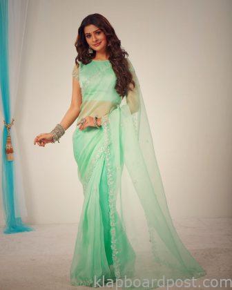 Payal Rajput Looking Beautiful In Saree 2