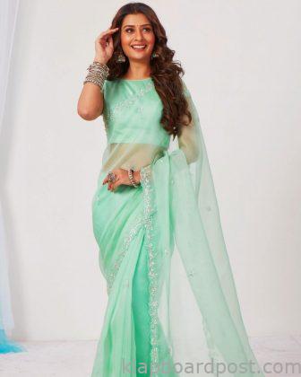 Payal Rajput Looking Beautiful In Saree