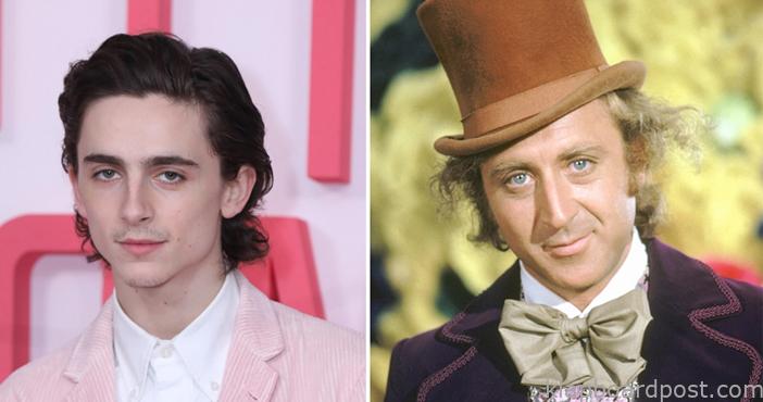 Timothee Chalamet as 'Willy Wonka'