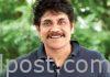 నాగార్జున్ యాక్షన్ షురూ Nagarjuna and Praveen Sattaru Movie Update