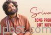 పుష్ప నుండి ‘శ్రీవల్లి’ సాంగ్ ప్రోమో Srivalli Promo from Allu Arjun Pushpa Movie
