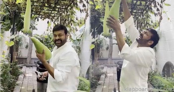 Chiranjeevi feeling happy w