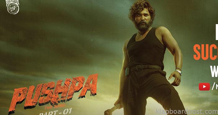 Pushpa makes 30 crores in Nizam- Makers happy