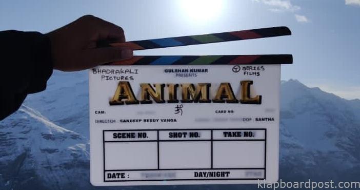 Sandeep Vanga Ranbirs Animal goes on floors