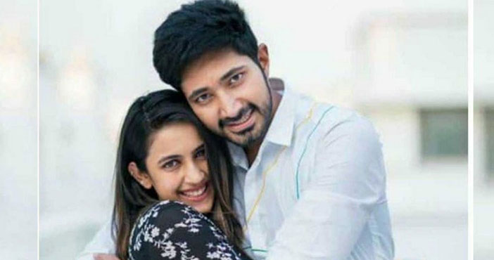 విడాకులు తీసుకోబోతున్న నిహారిక- చైతన్య? 3 Niharika 2