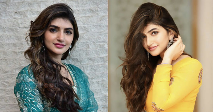 sreeleela movie with craze