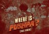 Where is Pushpa Video | Pushpa 2 Movie – The Rule – Telugu Glimpse Where is Pushpa Video